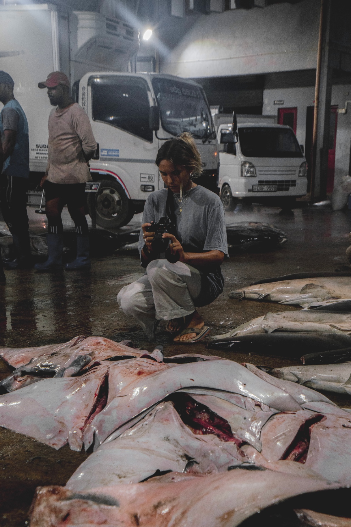Documenting mobula ray fisheries in Sri Lanka