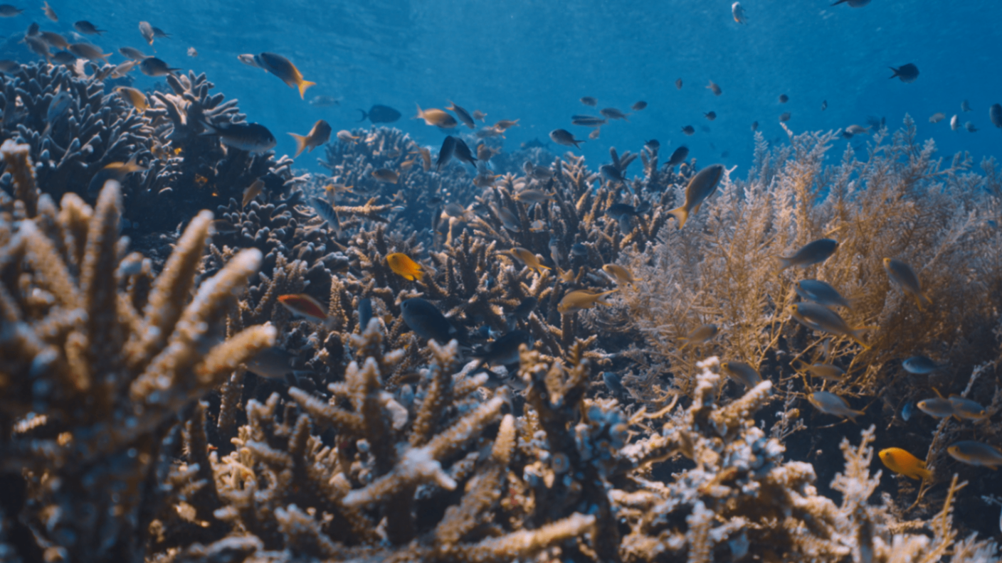 Drawn to Wild Places — still 7
