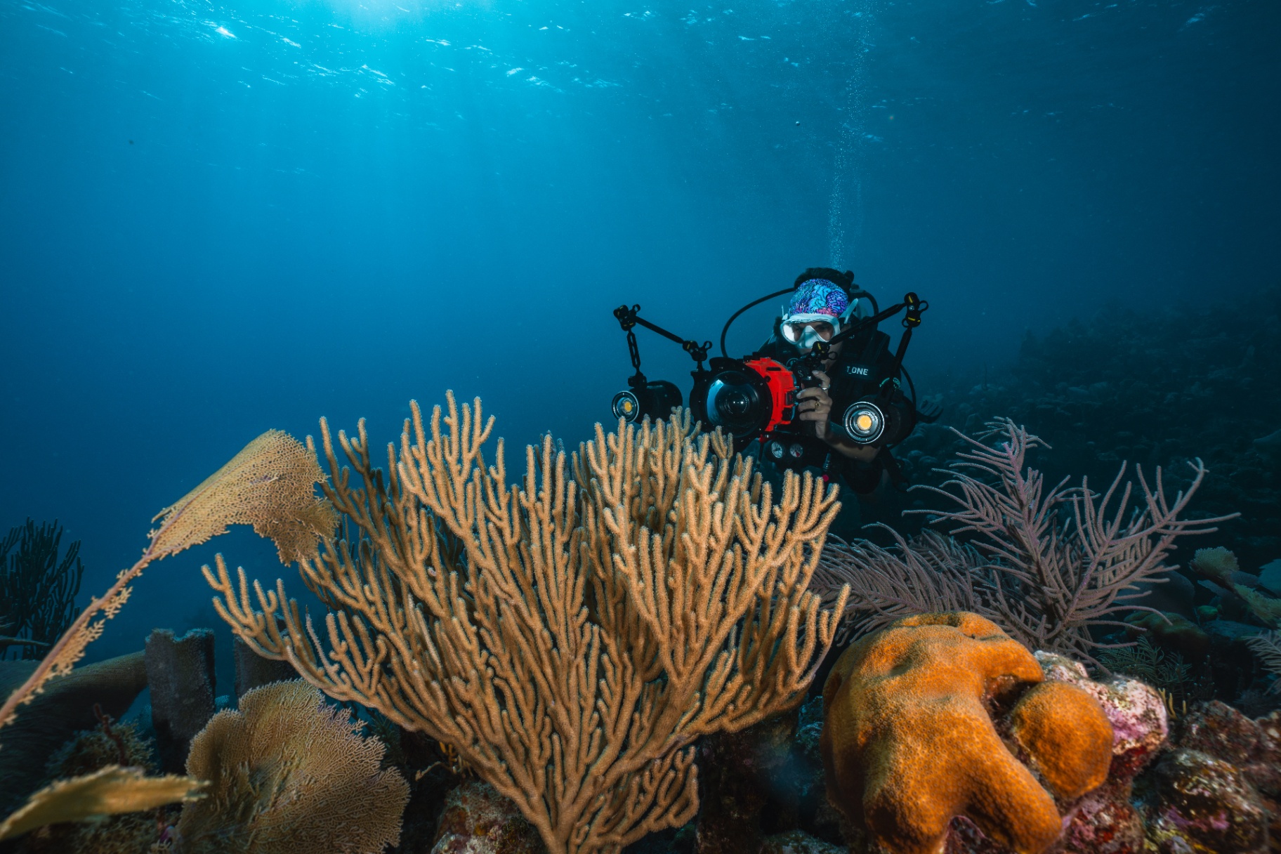 Documenting the reefs of Honduras