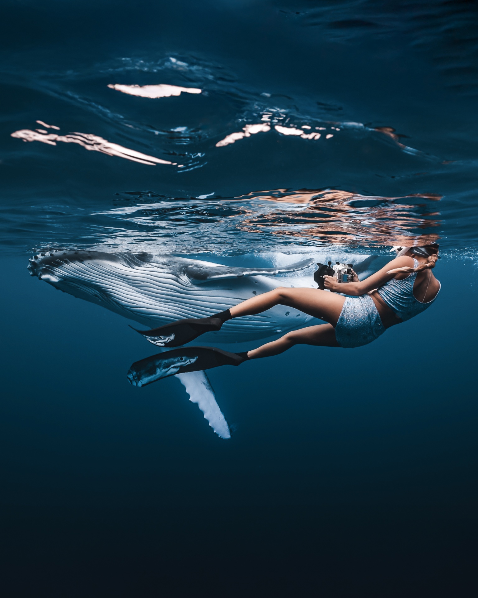 With humpback whales in French Polynesia